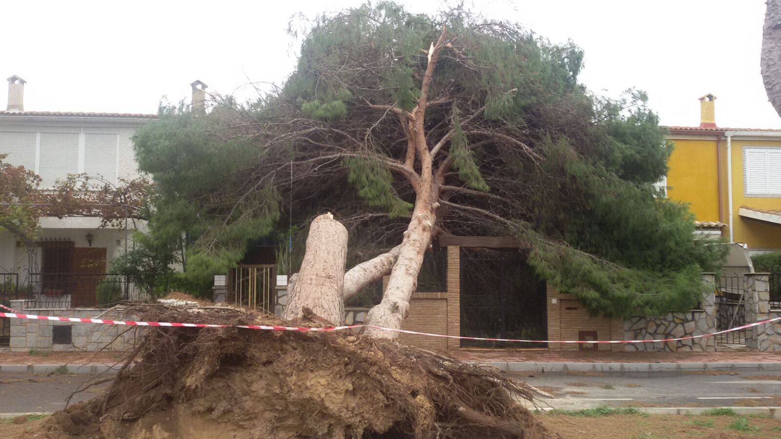 El temporal causa destrozos materiales en Torrevieja