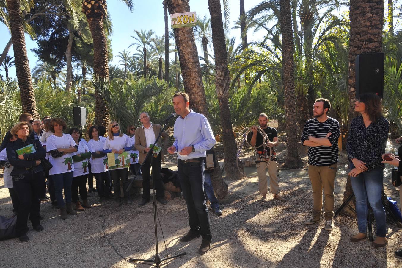 XV aniversario del Palmeral como Patrimonio de la Humanidad