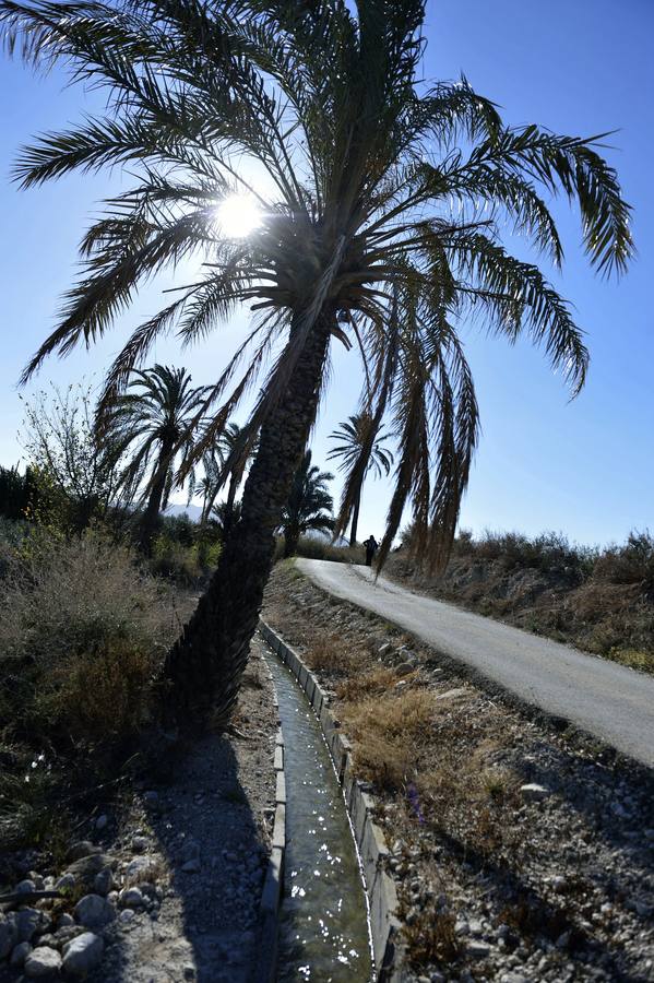 Del molino maquilero a la huerta de Mahoya