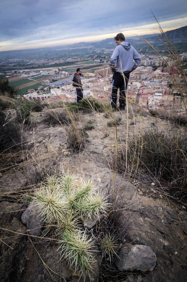 El cactus de Arizona acecha al castillo de Orihuela