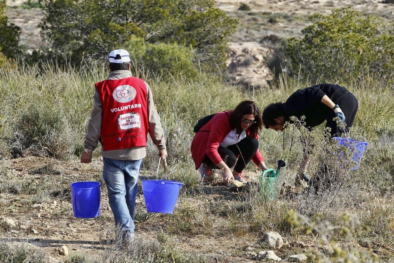 Reforestación en el Benacantil y en Orgeggia