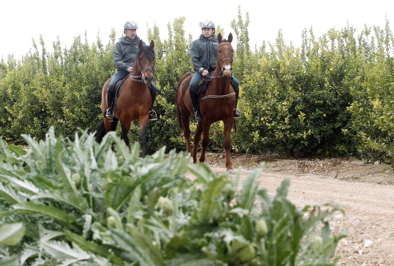 Las imágenes de la semana en la Región (del 1 al 7 de febrero)