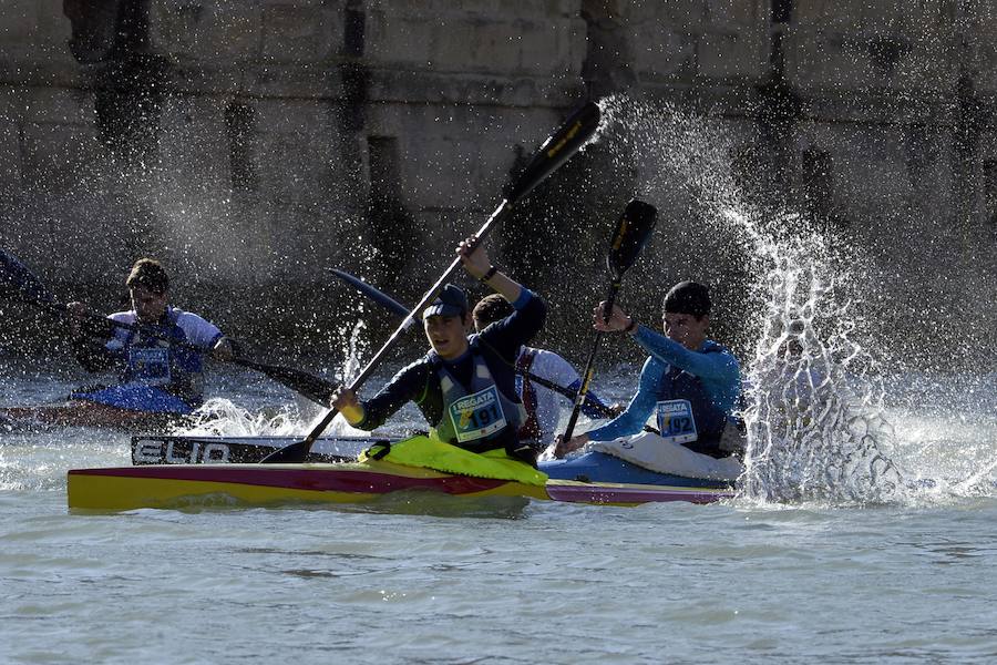 Las regatas vuelven al Segura