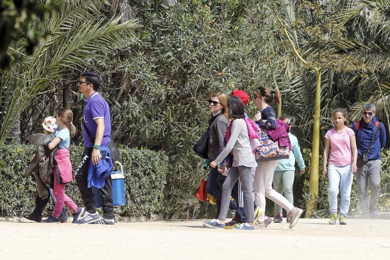 Día de la Mona con 26 grados en Alicante