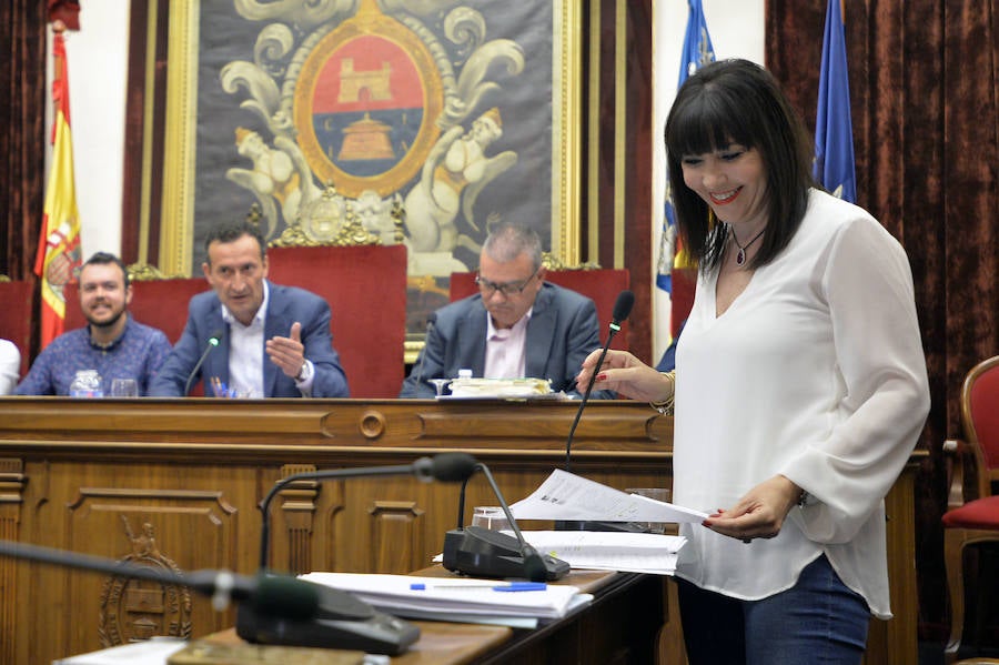 Pleno en el Ayuntamiento de Elche