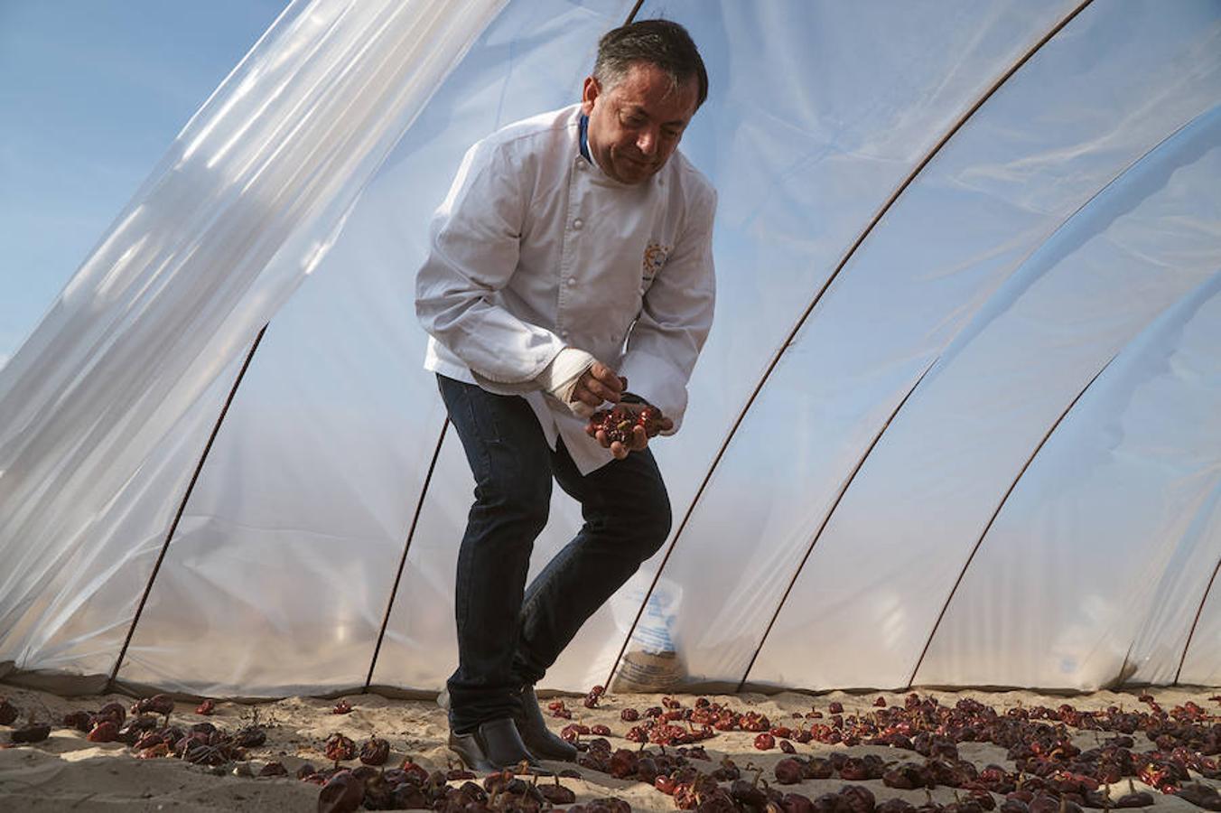 Cocineros de la provincia impulsan la denominación de origen de la ñora