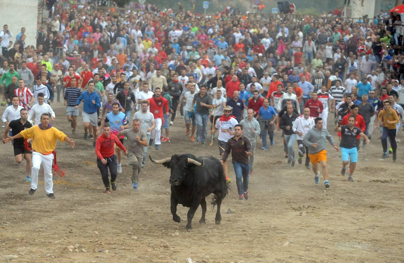 Tordesillas celebra su primera fiesta sin Toro de la Vega