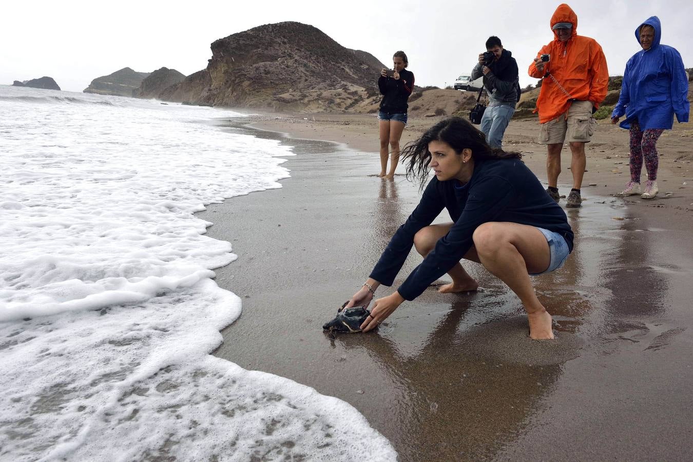 Liberan trece crías de tortuga boba marcadas para conocer sus migraciones