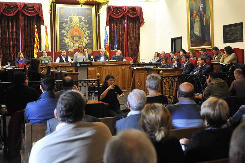 Las imágenes del pleno del Ayuntamiento de Elche