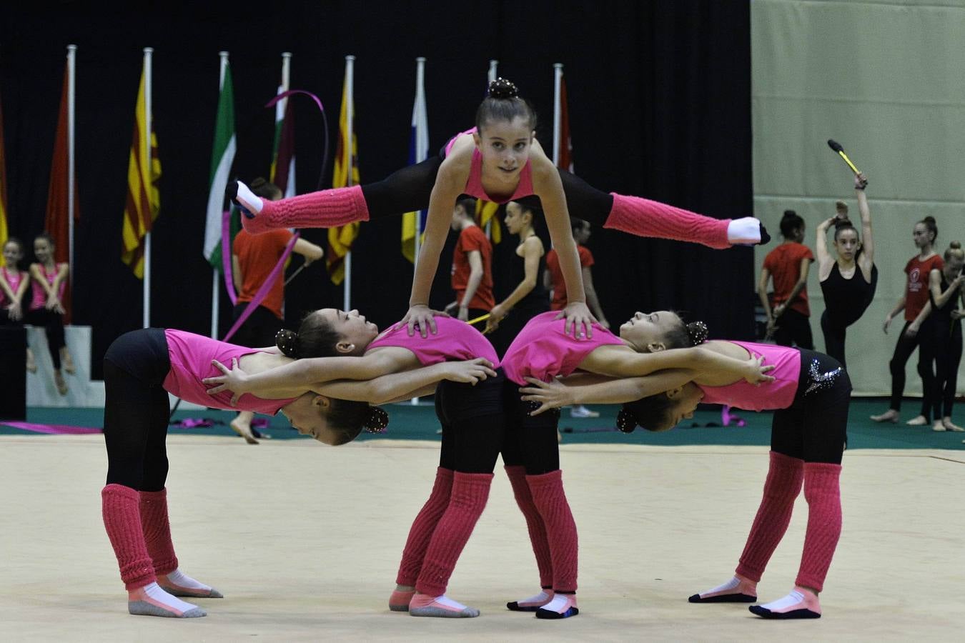 El espectáculo de la rítmica llega al Palacio