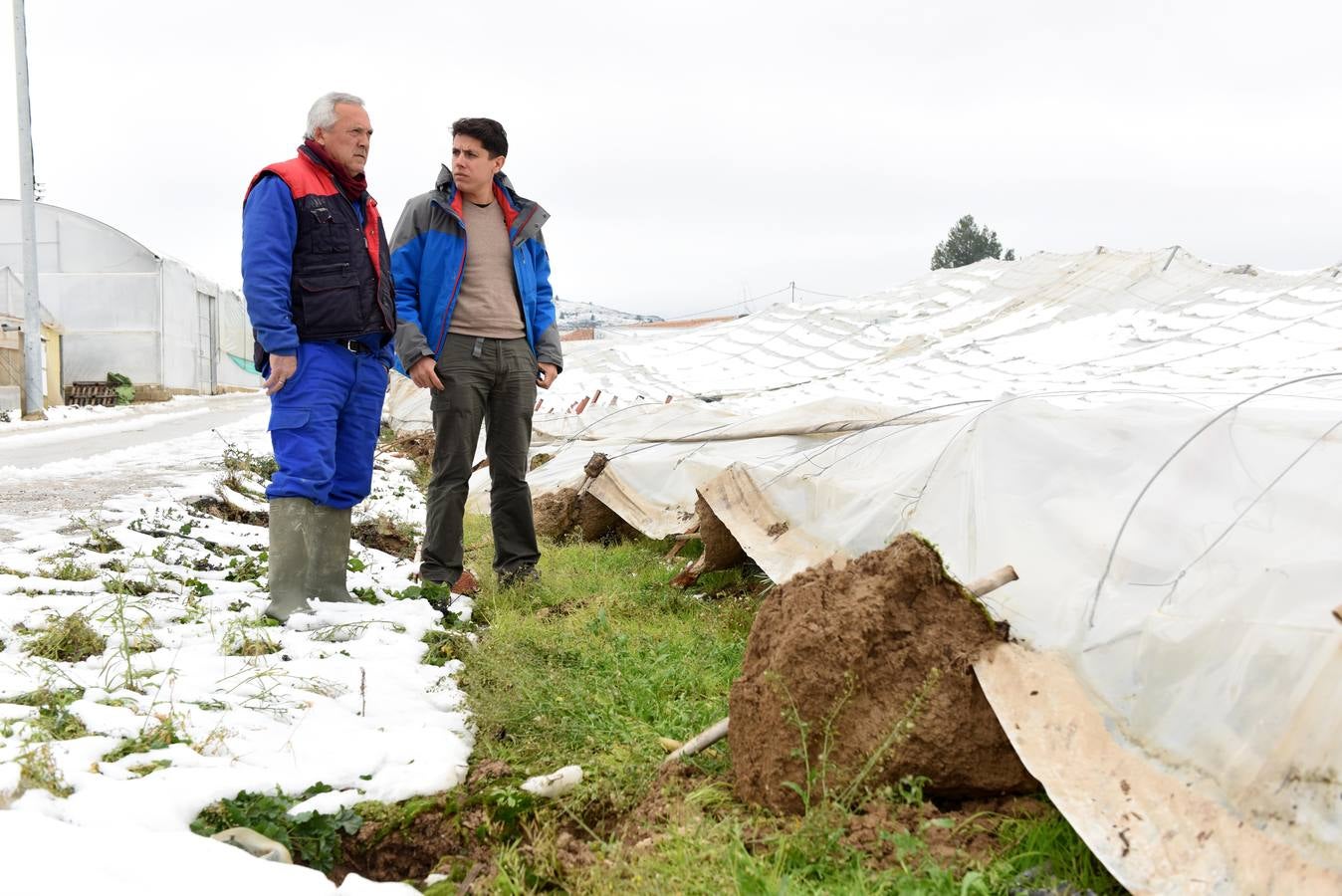 La nieve aplasta 70 invernaderos en Cehegín
