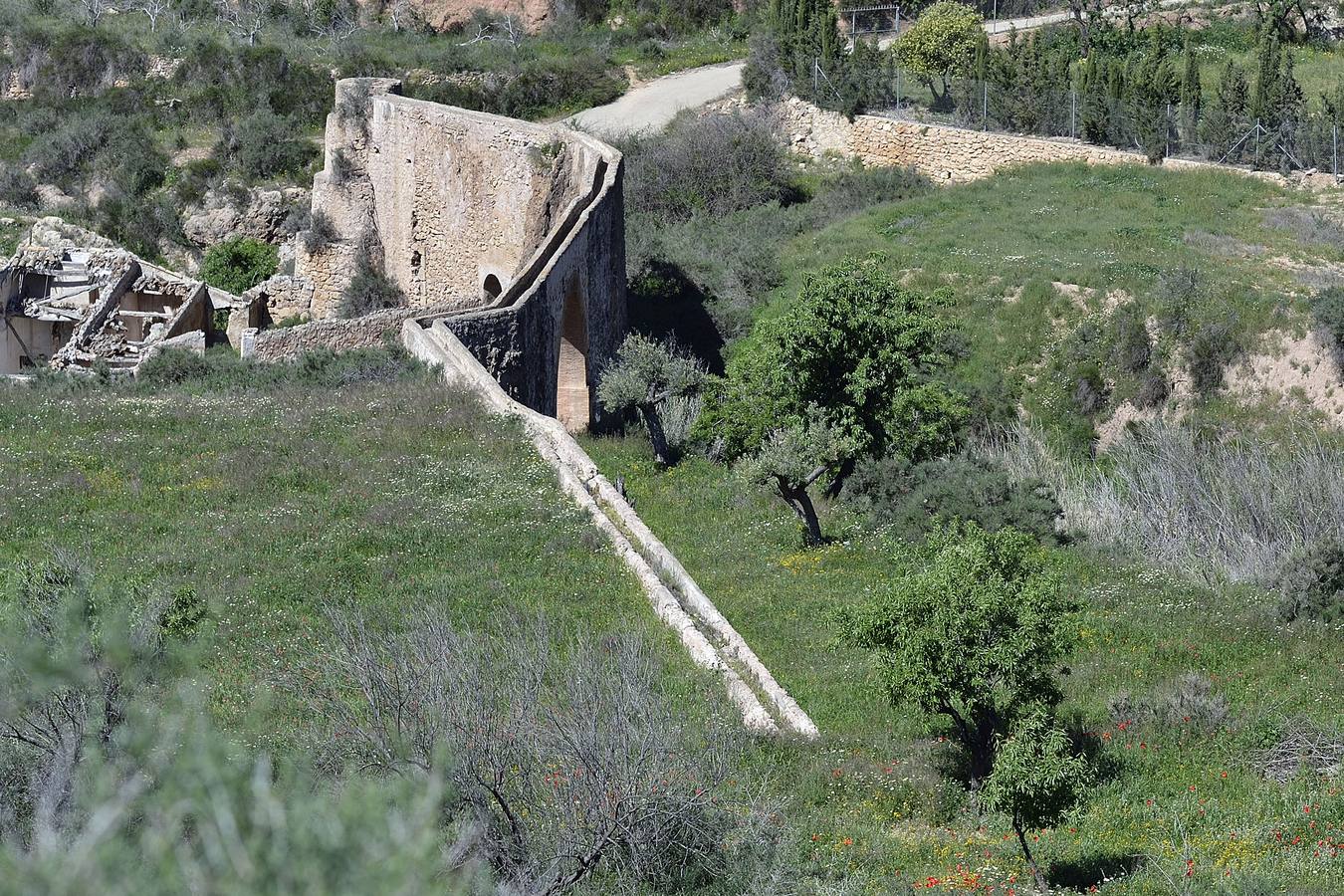 En las playas tropicales de Espuña