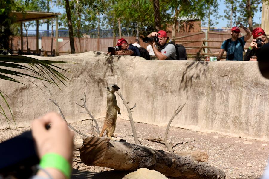 Enfocando la naturaleza más salvaje