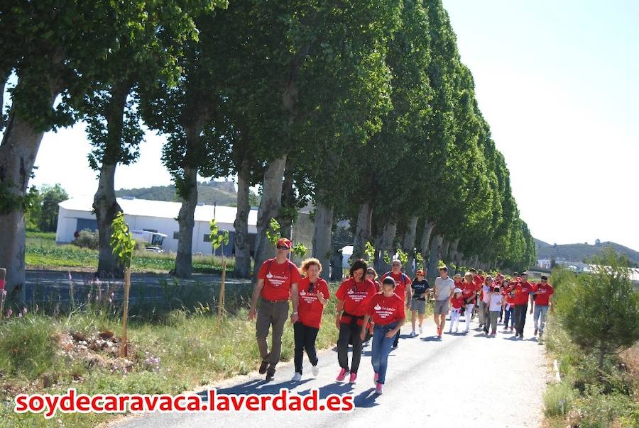 PEREGRINACIÓN BANCO DE SANTANDER (II)