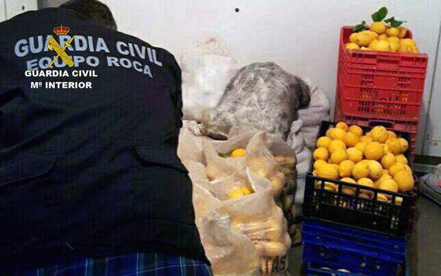 Recuperan ocho toneladas de limones robadas