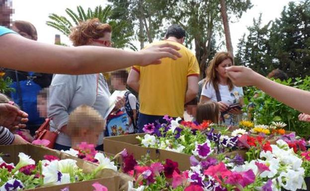 Plantas solidarias contra la hambruna en la zona del lago Chad