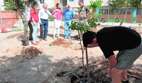 Dos colegios de Águilas recuperan árboles frutales autóctonos