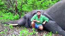 La venganza de la mamá elefante