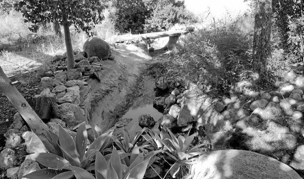 Limpian las charcas ante la alarma por el mosquito tigre