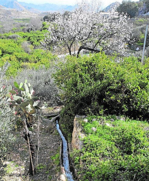 José María García Avilés: «La huerta tradicional no está condenada ni a la ignorancia ni a la desaparición»