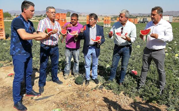 El 77% de la sandía que produjo la Región en 2016 se destinó a la exportación