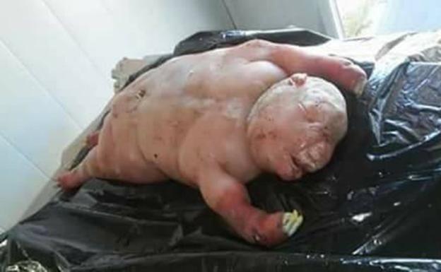 El extraño parto de una cabra