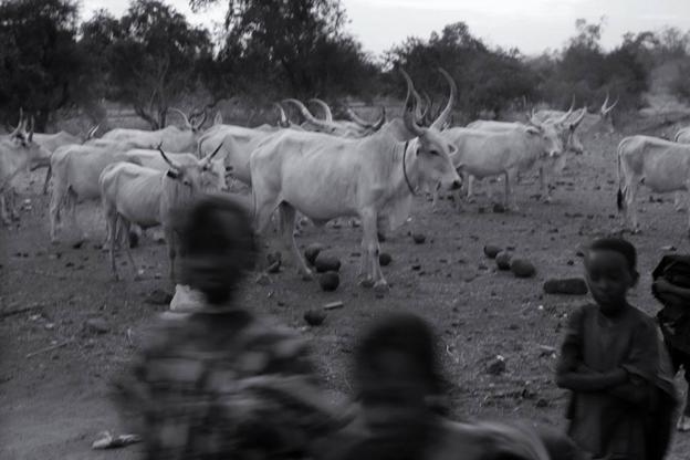 'Nómadas' atraviesa el Centro Párraga
