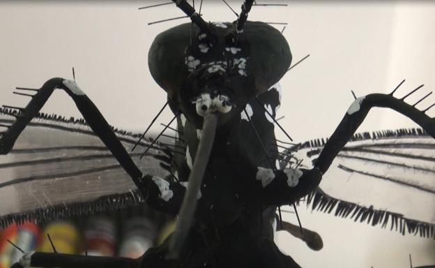 El mosquito tigre echa raíces en Murcia