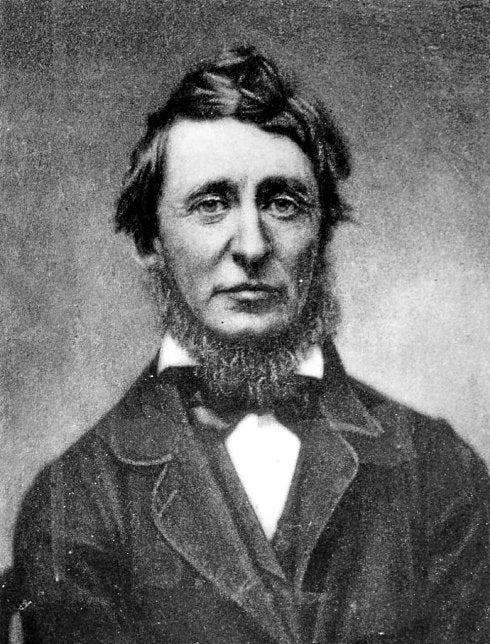 Una cabaña en el futuro