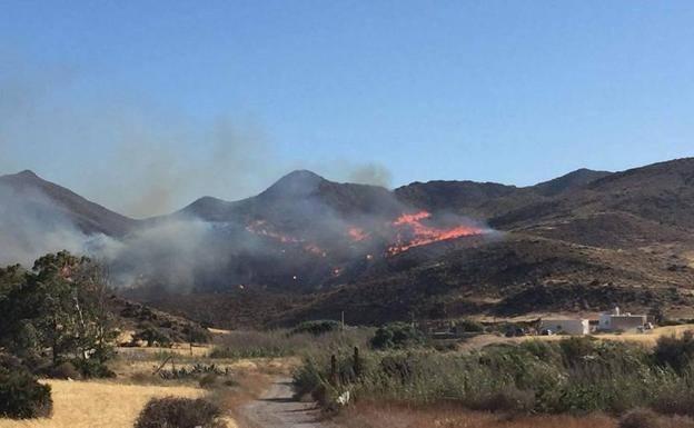 Tratan de frenar el avance de un incendio en San José