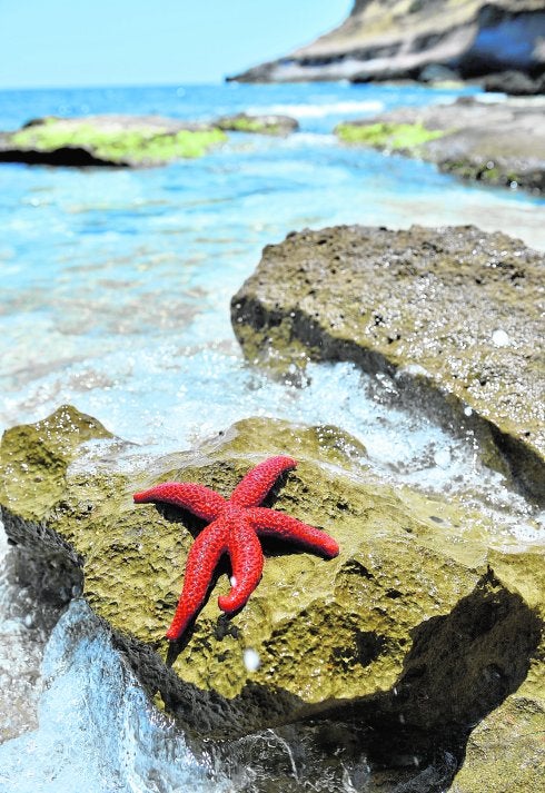 De la Cuesta de Gos al Caribe lorquino