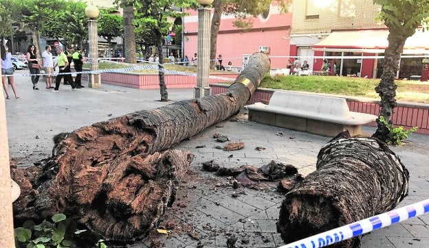 «Si pilla a alguien debajo lo revienta; ha sido un milagro»