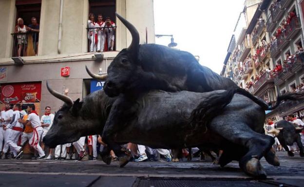 El doble encierro de los toros de José Escolar