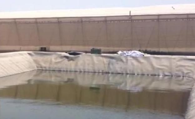 «Han muerto por tratar de salvar la vida del perro de un vecino»