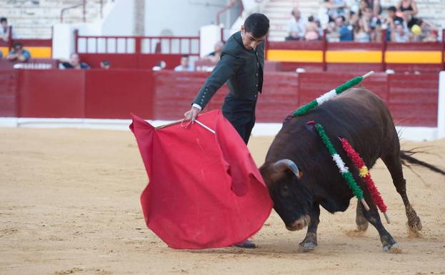 La Comunidad propone 21 medidas en defensa de los toros