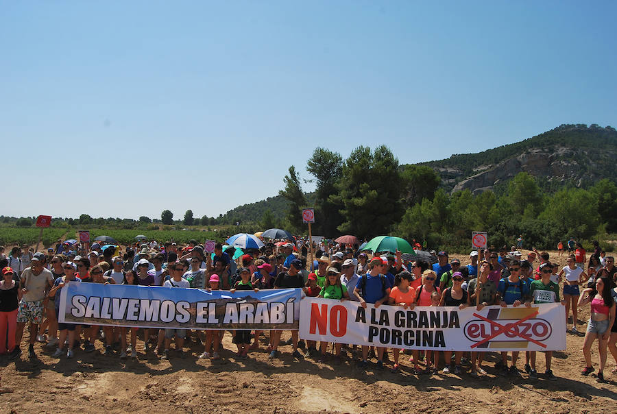 Marcha vecinal contra las granjas de cerdos en el Monte Arabí