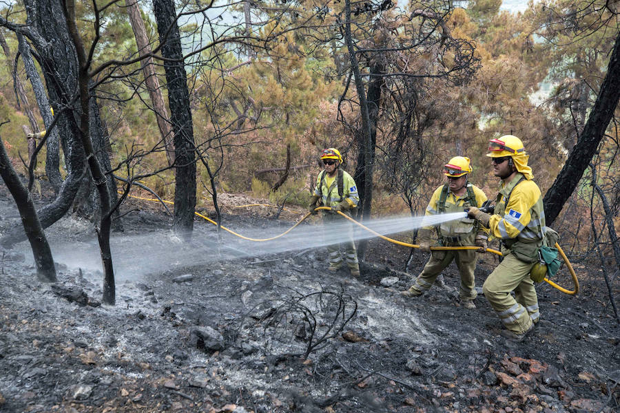 Los bomberos avanzan en perimetrar al incendio de Yeste