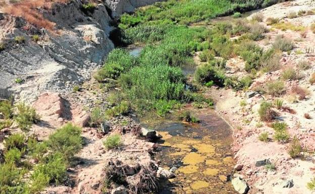 Los vecinos de Camposol denuncian «aguas negras» estancadas en Las Moreras