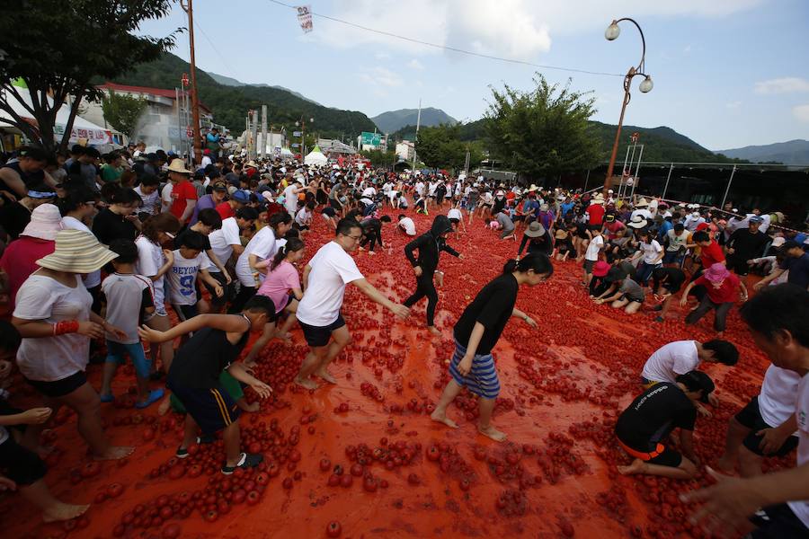 La tomatina coreana