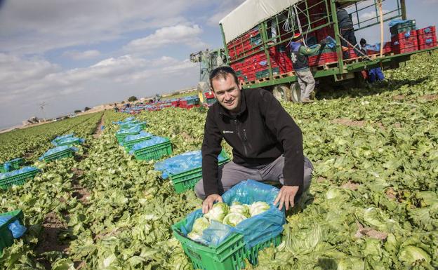 Asaja Murcia reclama una marca de calidad para las frutas y verduras murcianas