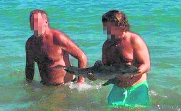 Una cría de delfín muere en una playa de Almería