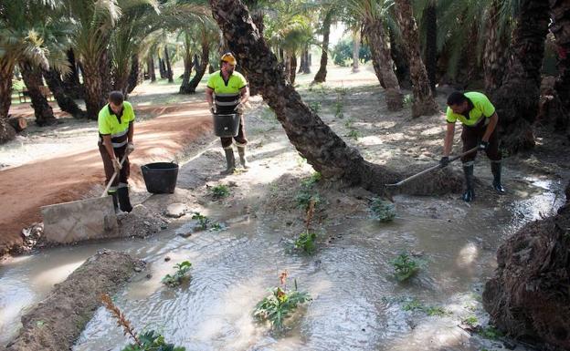 Recuperado el sistema de riego tradicional para el Palmeral de Santiago y Zaraiche