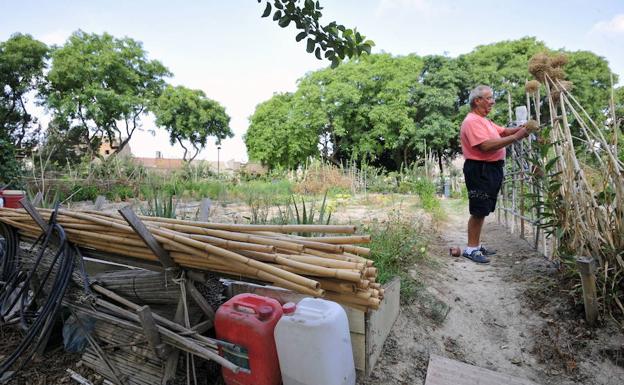 La cosecha viene con premio