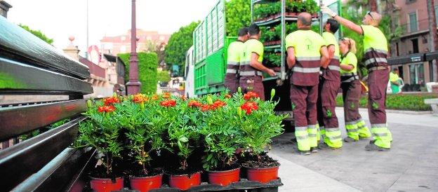 50.000 plantas en flor darán color a la ciudad