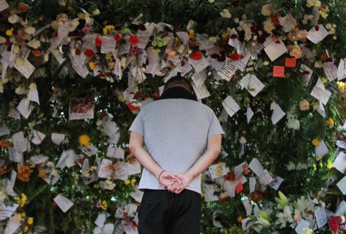 Color en medio del caos