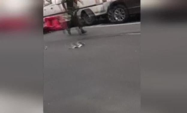 Ebria, sin carné y al volante de un coche robado