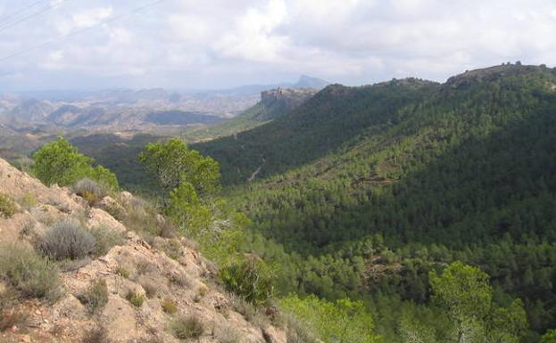 42 km en bici por El Valle