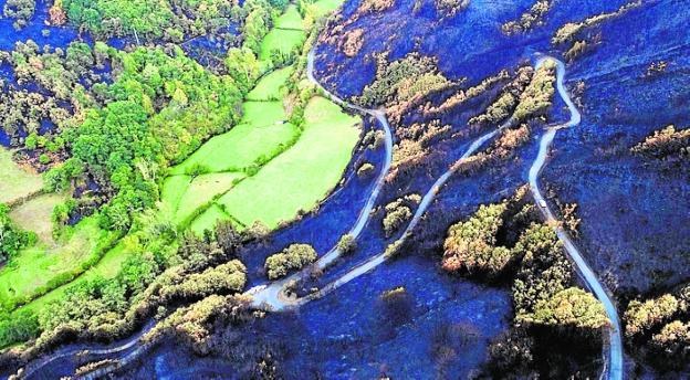 Los investigadores descartan que sean tramas organizadas