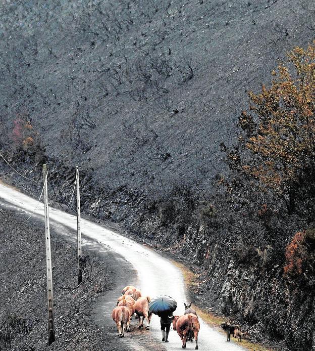 La regla del 30 y el cambio climático, ecuación devastadora