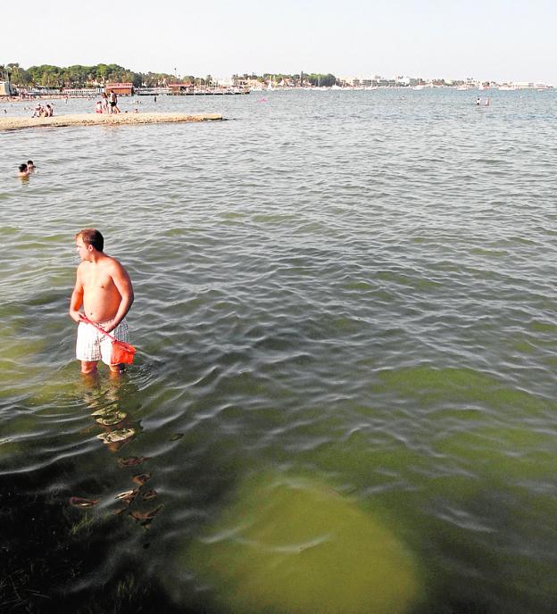 «El Mar Menor está bastante desprotegido legalmente»